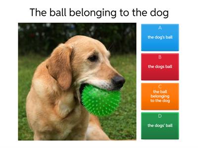 Singular vs. Plural Possessive 