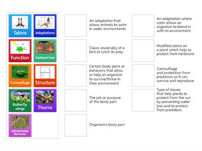 Structure & Function Review
