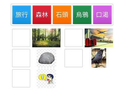 聰明的小熊 圖片配對