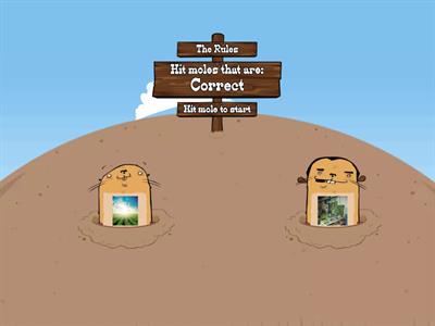 What is a natural resource?