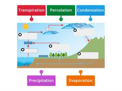 Water Cycle