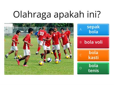 sepak bola