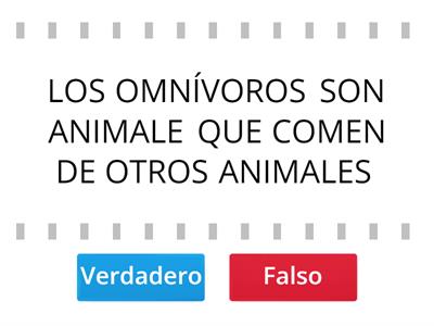 VERDADERO O FALSO TIPO DE ALIMENTACIÓN