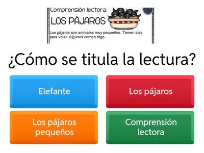 Comprensión Pájaros