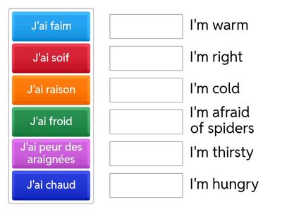 Les expressions avec avoir