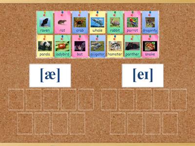 Кузовлев 3 Lesson 3 a vs Silent e (a_e)