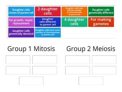 Mitosis Meiosis Sorting 