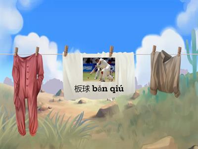 12 Sports in Chinese 