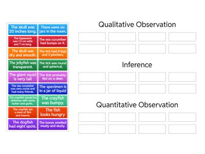 Observation and Inference Practice