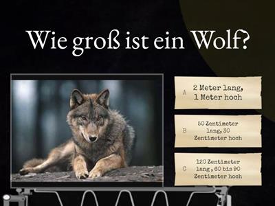 Der Wolf