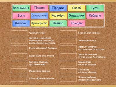 Природные зоны Земли