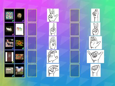 Handshape Matching Game