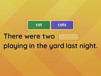 Singular and Plural Nouns