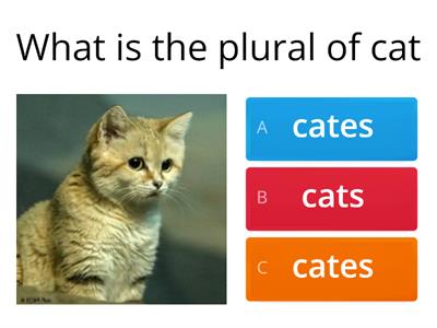 Plural Noun Quiz Grade 3