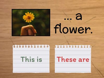 Shine on 3 Unit 3 part 3 game 3