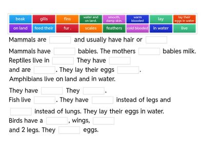 Animal classification