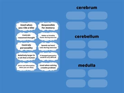 Applying knowledge of brain parts and functions