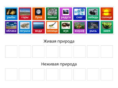 Живая и неживая природа