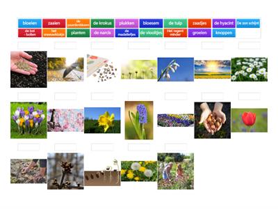  Lente: weer en natuur