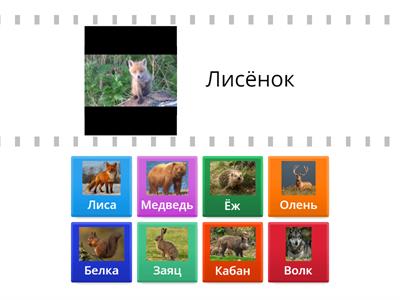 Дикие животные