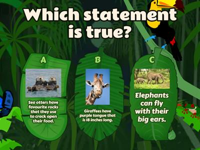 Fun Facts about Animal