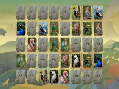 Найди пару, птицы