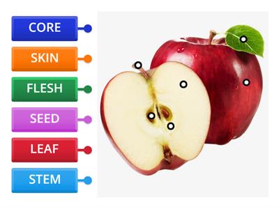 FUN AT POINT - PARTS OF AN APPLE