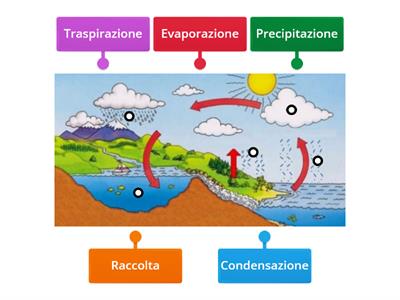 Il ciclo dell'acqua