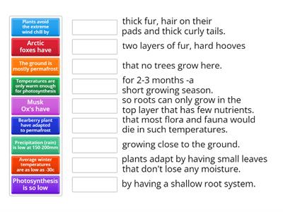 Tundra adaptation 