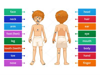 Rainbow English-6. Unit 6. Step 2