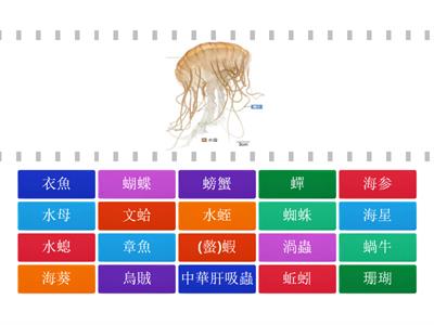 無脊椎動物配對