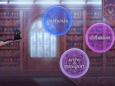 FFynone House AQA biology: Cell transport (airplane)