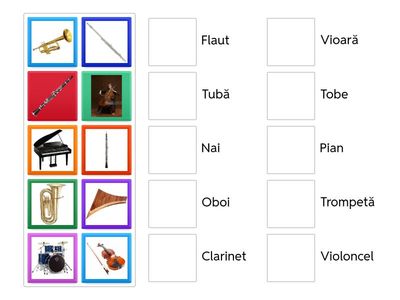 Instrumente muzicale