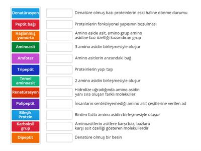 9.sınıf Biyoloji proteinler