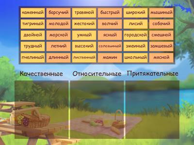 Прилагательное: разряды