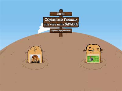 Ognuno nel suo habitat