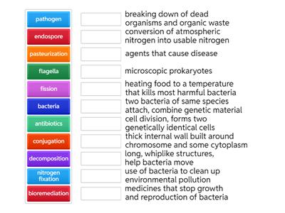 Bacteria Vocabulary