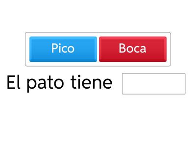 ¿Qué tienen los animales?