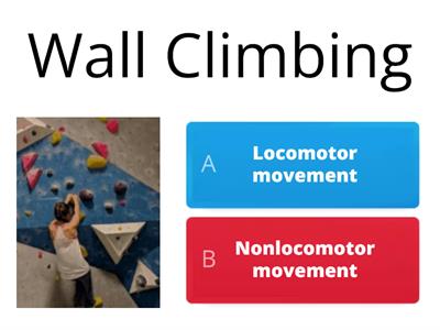 LOCOMOTOR AND NONLOCOMOTOR MOVEMENTS