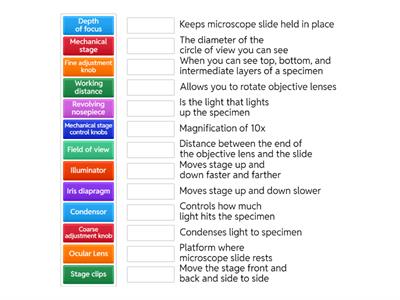 Microscope Functions