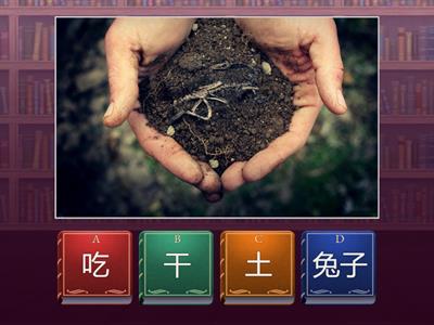 слова сложные