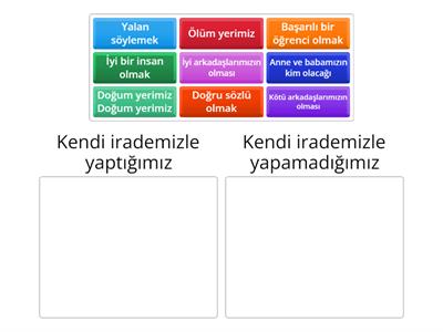 8.1.2. İnsanın İradesi ve Kader