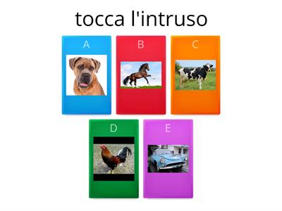 tocca l'intruso (categoria)