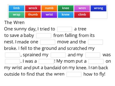  Silent Letters gn, kn, wr, mb                HOZ 