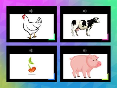 Animal Variable Tiles