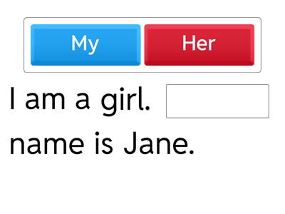Possessive Adjectives - Drag and Drop