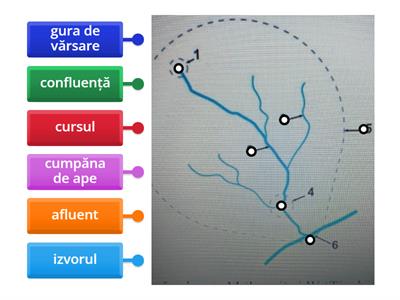 Elementele unui râu