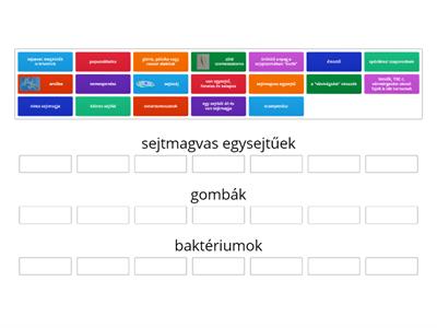 baktériumok, sejtmagvas egysejtűek, gombák