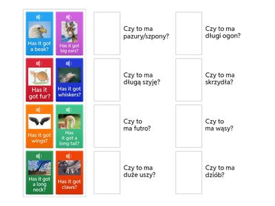 Animals zgadywanie/pytania