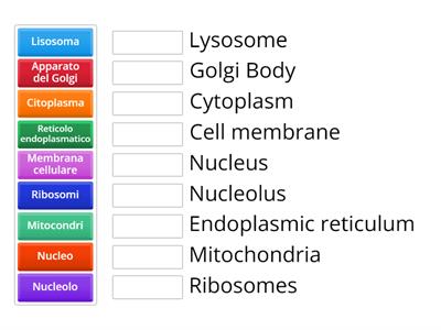 Cellula - Cell